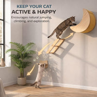 Cat Wall Shelves Set, Solid Wood Moon Bed - moon bed with 3-levels ladder - image 4