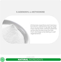 Same for Dogs - 120 Chewable Tablets - S-Adenosyl-L-Methionine, Liver Supplement - Brain Health, Promotes Cognitive Support, Liver Support