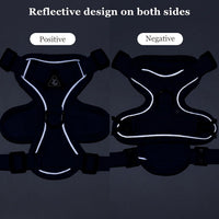 Wanheart cat Chest Harness and Leash - Royal blue / S:3.3-6.6lb - image 2