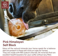 Himalayan Mineral Salt Block on Rope Pack of 4 (3lbs each) – 100% Organic Pink Salt Lick for Horses and Livestock. Deer Attractant with No Harmful Elements.