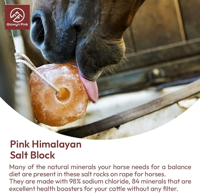 Himalayan Mineral Salt Block on Rope Pack of 4 (3lbs each) – 100% Organic Pink Salt Lick for Horses and Livestock. Deer Attractant with No Harmful Elements.