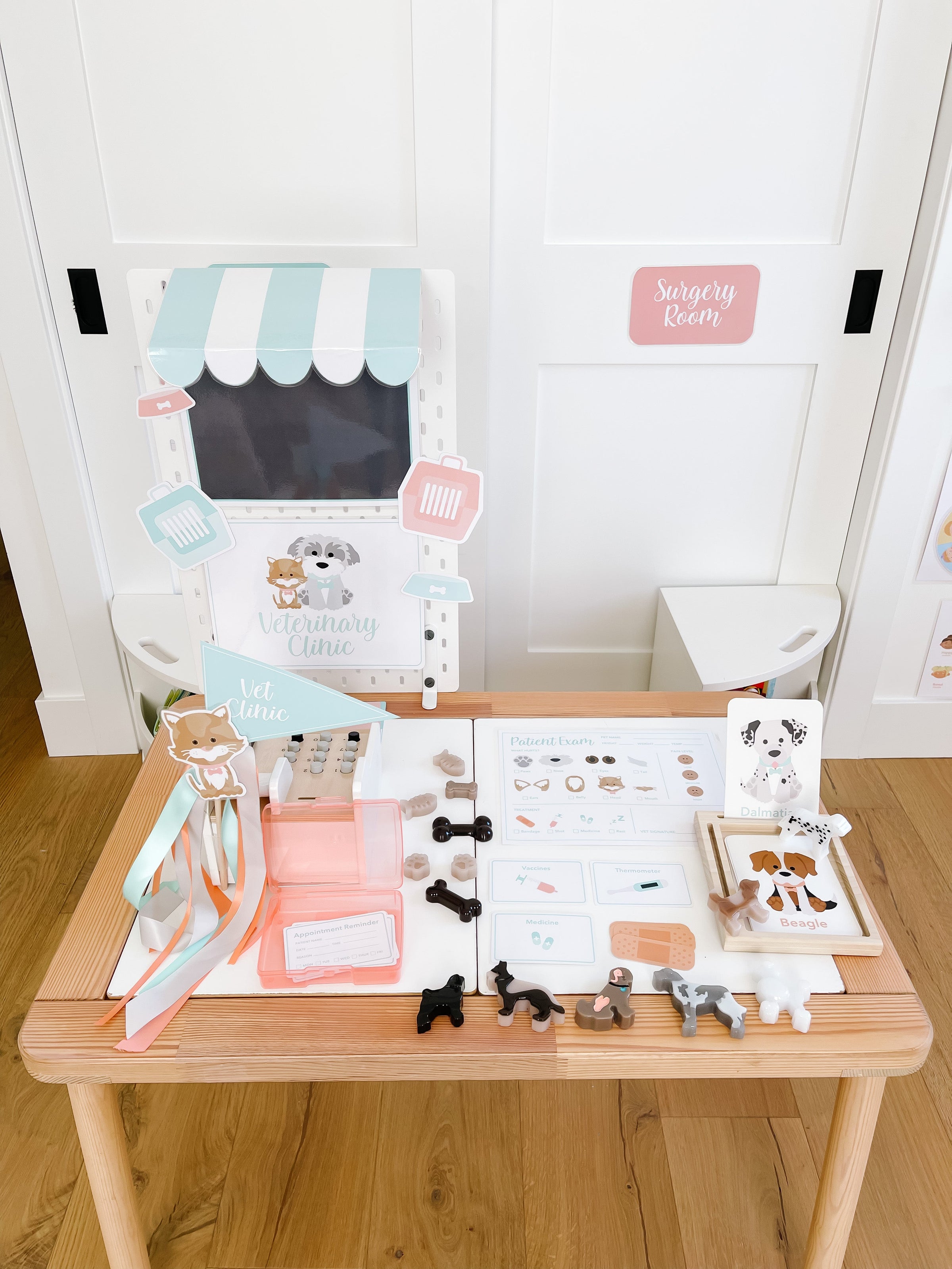 Vet Clinic Dramatic Play