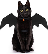 OLANRUN cat Halloween costume with felt bat wings and pumpkin bell in medium