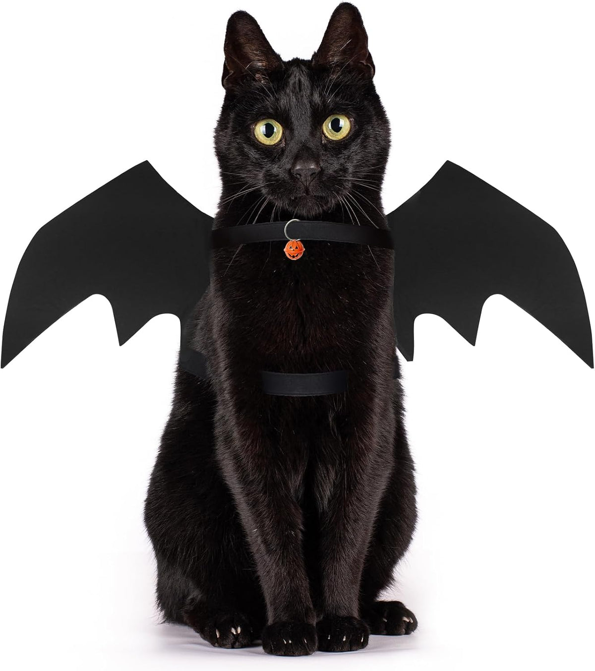 OLANRUN cat Halloween costume with felt bat wings and pumpkin bell in medium