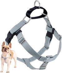2 Hounds Design Freedom No Pull Dog Harness - Silver / XXL (Chest 38" - 44")