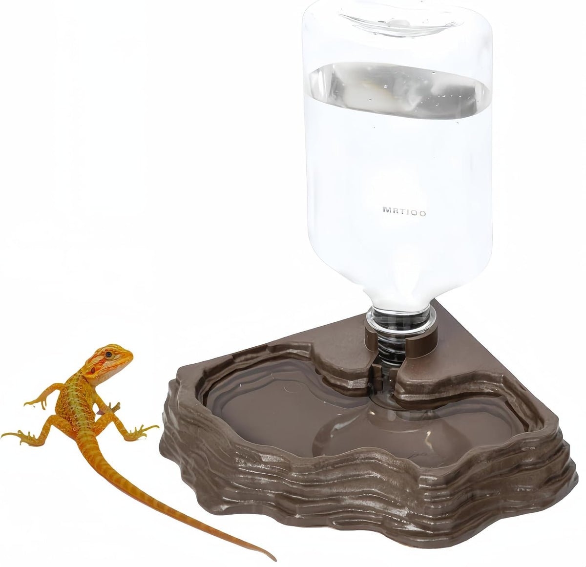 Lizard Bearded Dragon Water Bowl Dish Automatic Dispenser - Brown