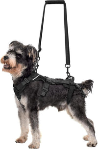 OneTigris Dog Lift Harness for Small Dogs XS - Small / Black