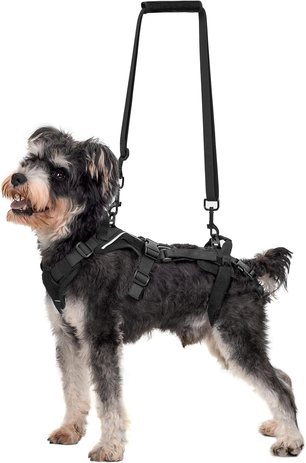 OneTigris Dog Lift Harness for Small Dogs XS - Small / Black