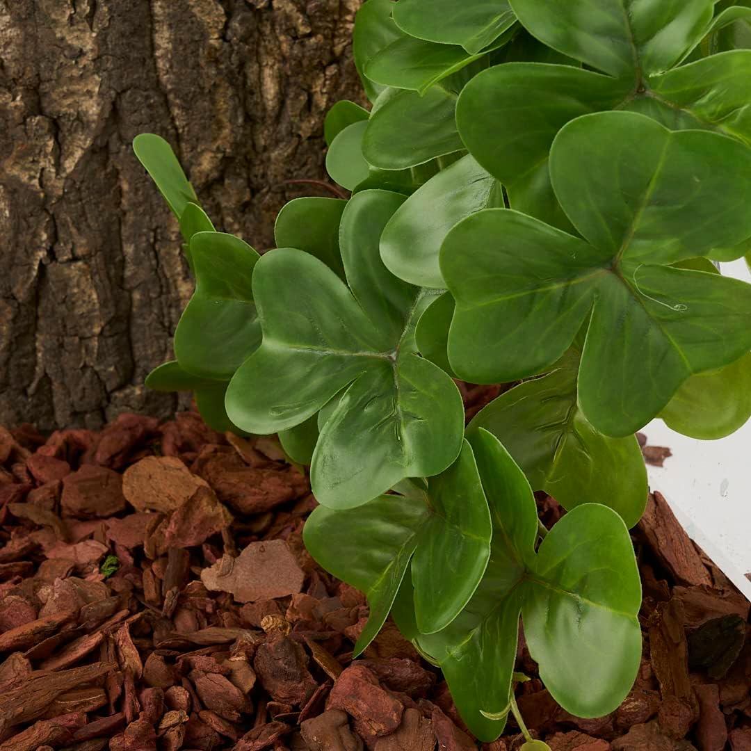 Fake Calathea Orbifolia, Reptile Terrarium Suction Plants – Essentials for Fish - Fake Shamrock - image 4