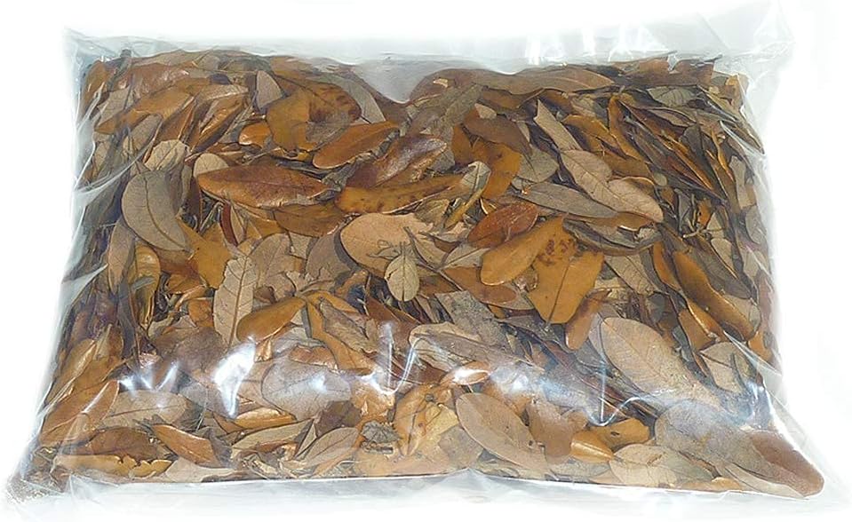 XYZReptiles Premium Live Oak Leaf Litter Isopod Substrate Terrarium - image 3
