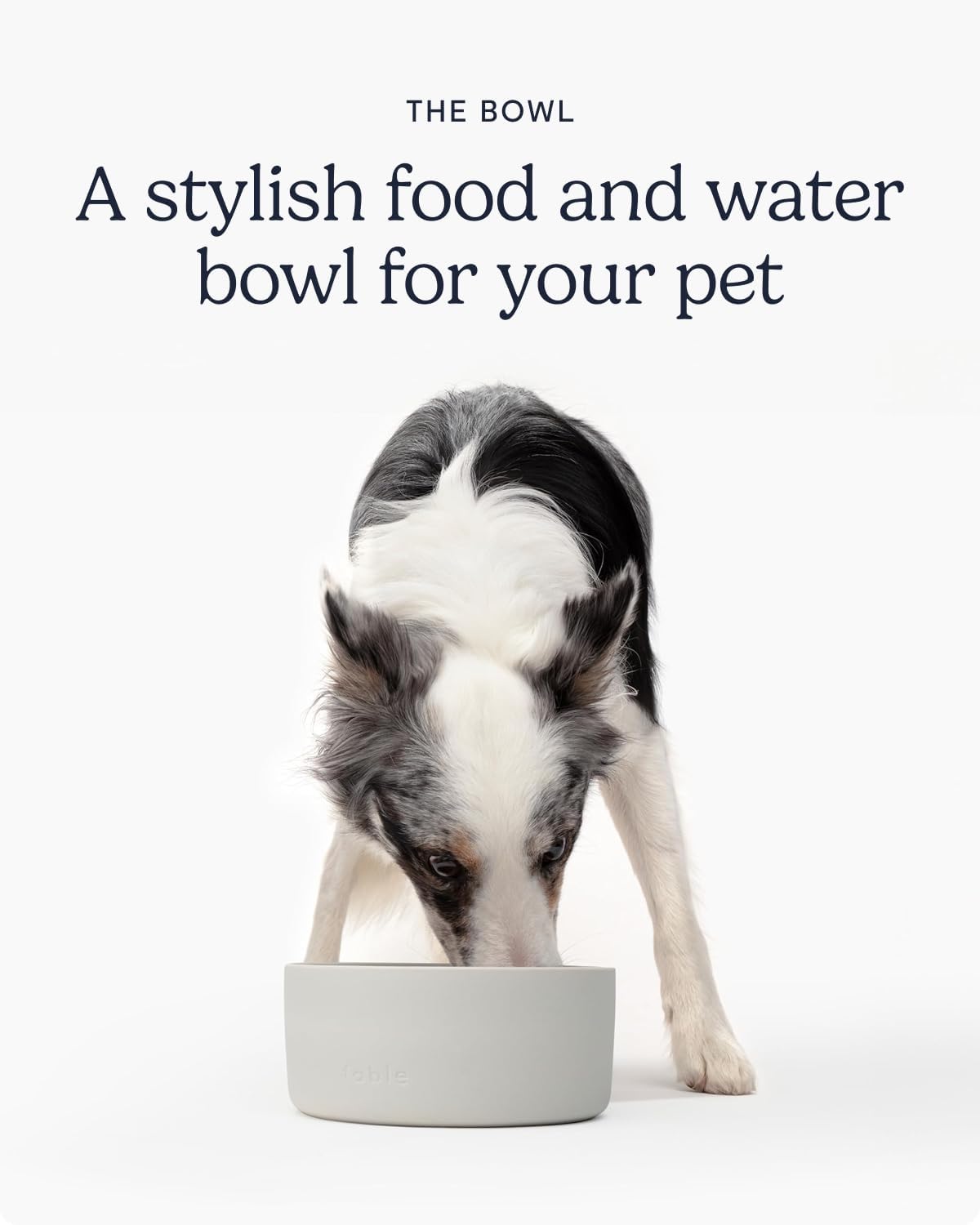 Fable Pets Ceramic Dog Bowl and Cat Dish - M/L/XL / Tofu - image 2