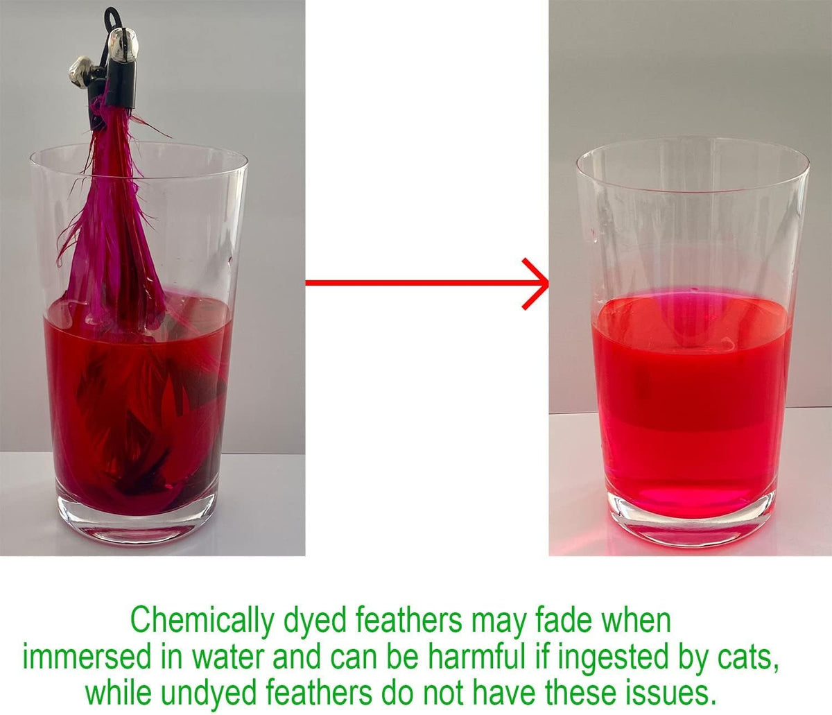 Cat Toys, No Chemical Dyeing Cat Feather Toys for Indoor Cats - image 2