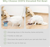 Extra Wide Elevated Ceramic 6.2" Shallow Cat Food Bowl – Essentials for Cats - Blue-Deeper - image 4