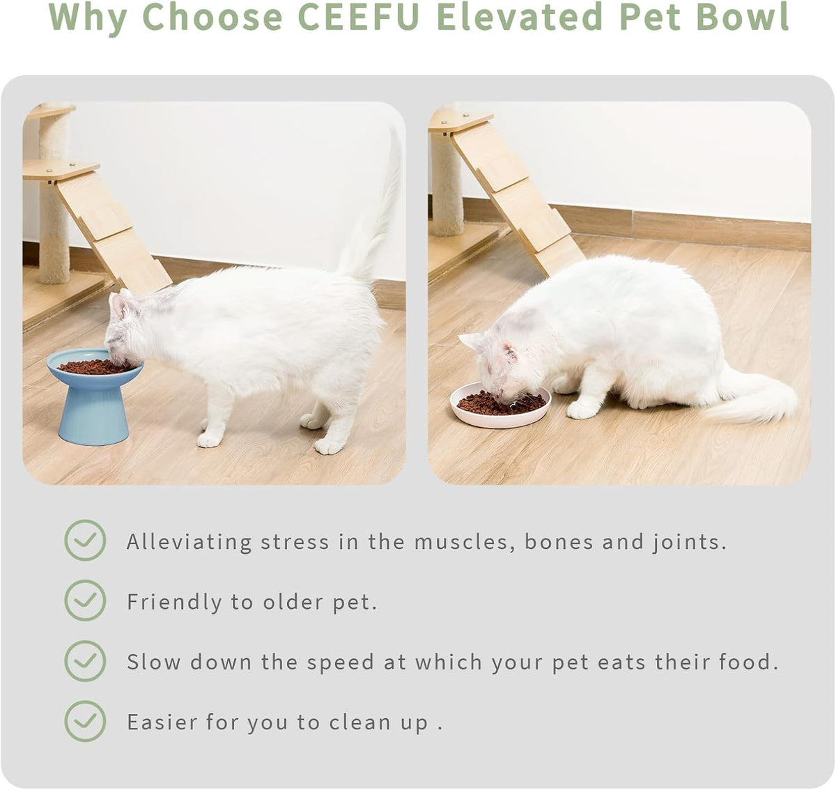 Extra Wide Elevated Ceramic 6.2" Shallow Cat Food Bowl – Essentials for Cats - Blue-Deeper - image 4