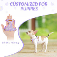 SlowTon No Pull Dog Harness with Leash for Small Medium Dogs - XX-Small(2.2-6lb) / Purple Daisy - image 2