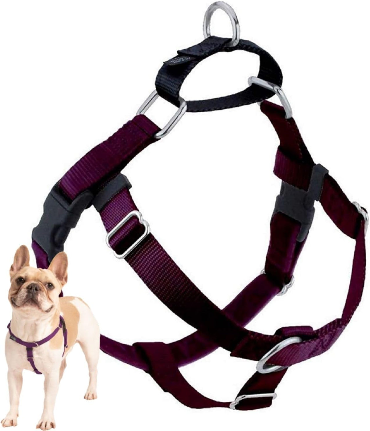 2 Hounds Design Freedom No Pull Dog Harness - Burgundy / LG (Chest 28" - 32")