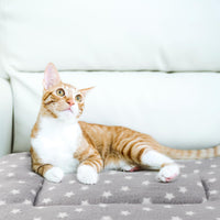 2 Pack Cat Blanket for Indoor Cats - Stars / 22X15 in - image 4
