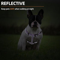 PUPTECK No Pull Dog Harness Soft Adjustable Basic Nylon Step in Puppy Vest Outdoor Walking with ID Tag, Reflecive Purple, S