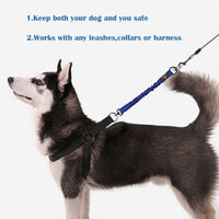 Bungee Dog Leash Extension Attachment - Blue - image 4