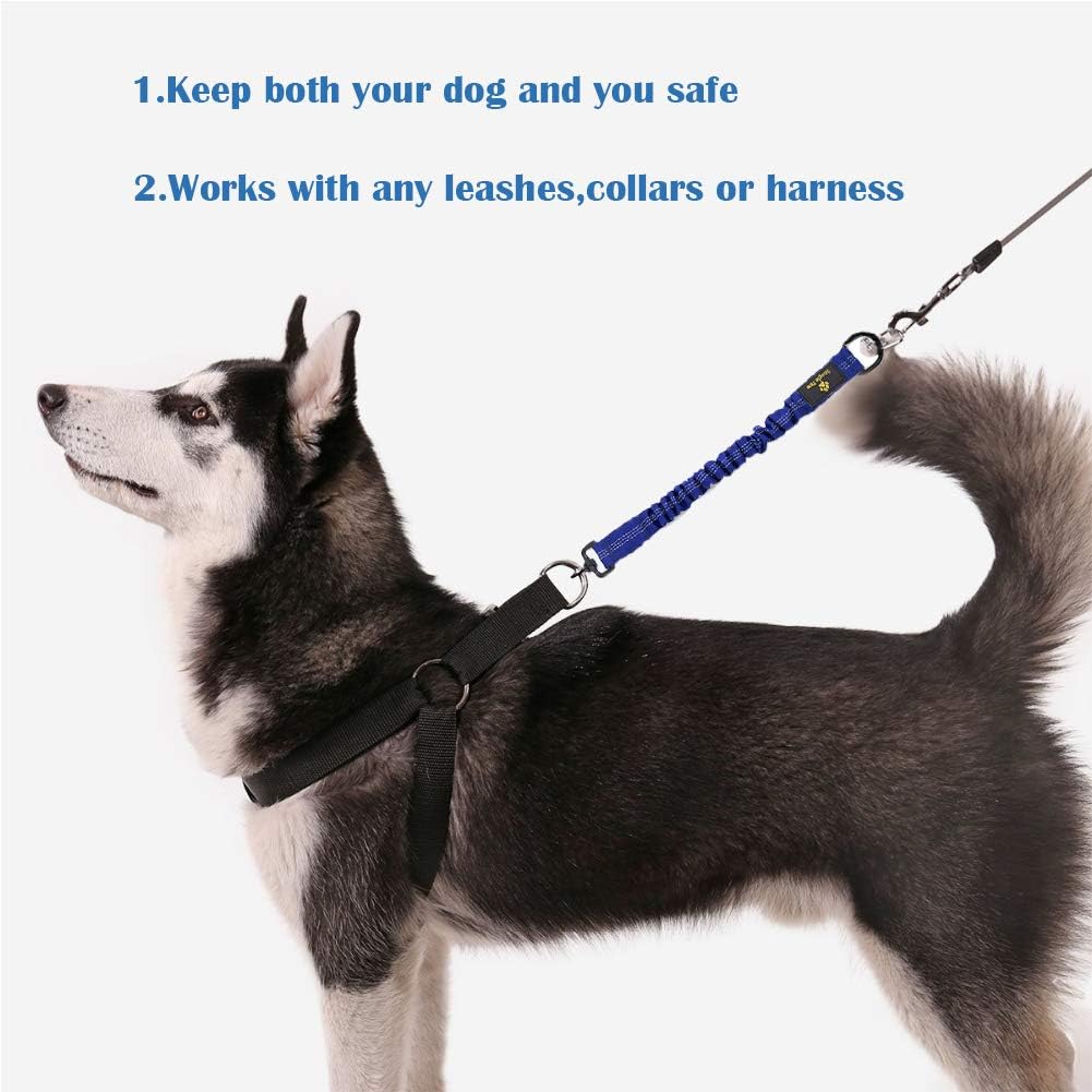Bungee Dog Leash Extension Attachment - Blue - image 4