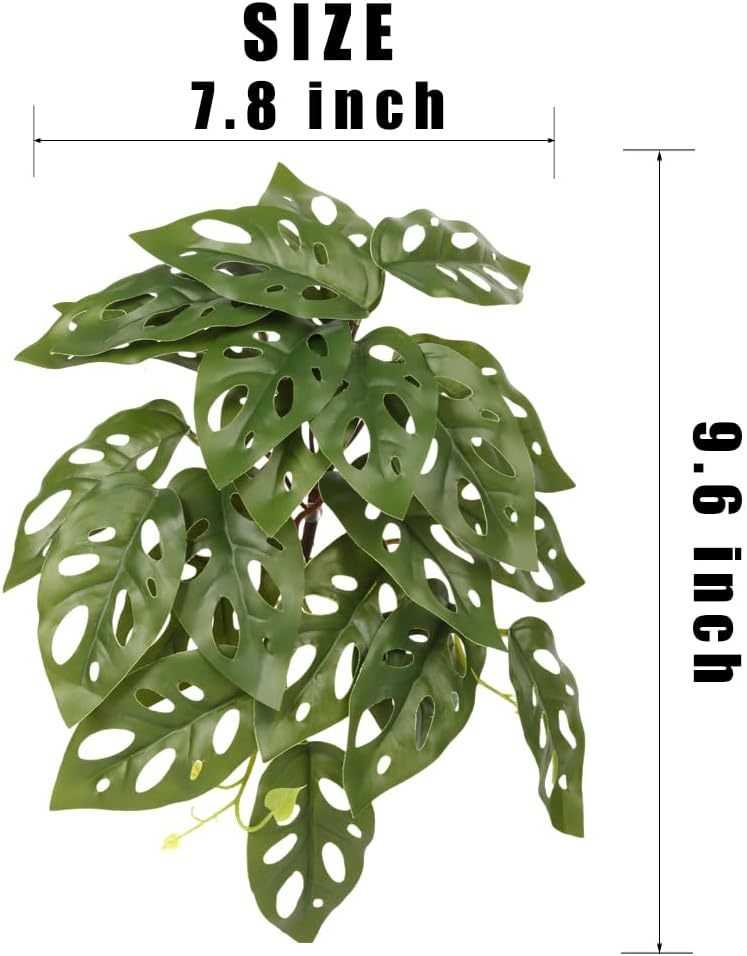 2Pack Reptile Plants for Terrarium - B-fake Swiss Cheese Plants Monstera Adansonii - image 2