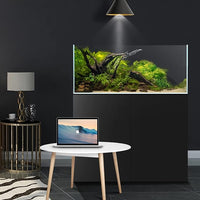 Fzone 48 Gal Rimless Low Iron Fish Tank Nova Clear Ultra-White 45° Mitered Edges Translucent Glass Anata Series Aquarium w/Black Foam Leveling Mat(S90-W45)