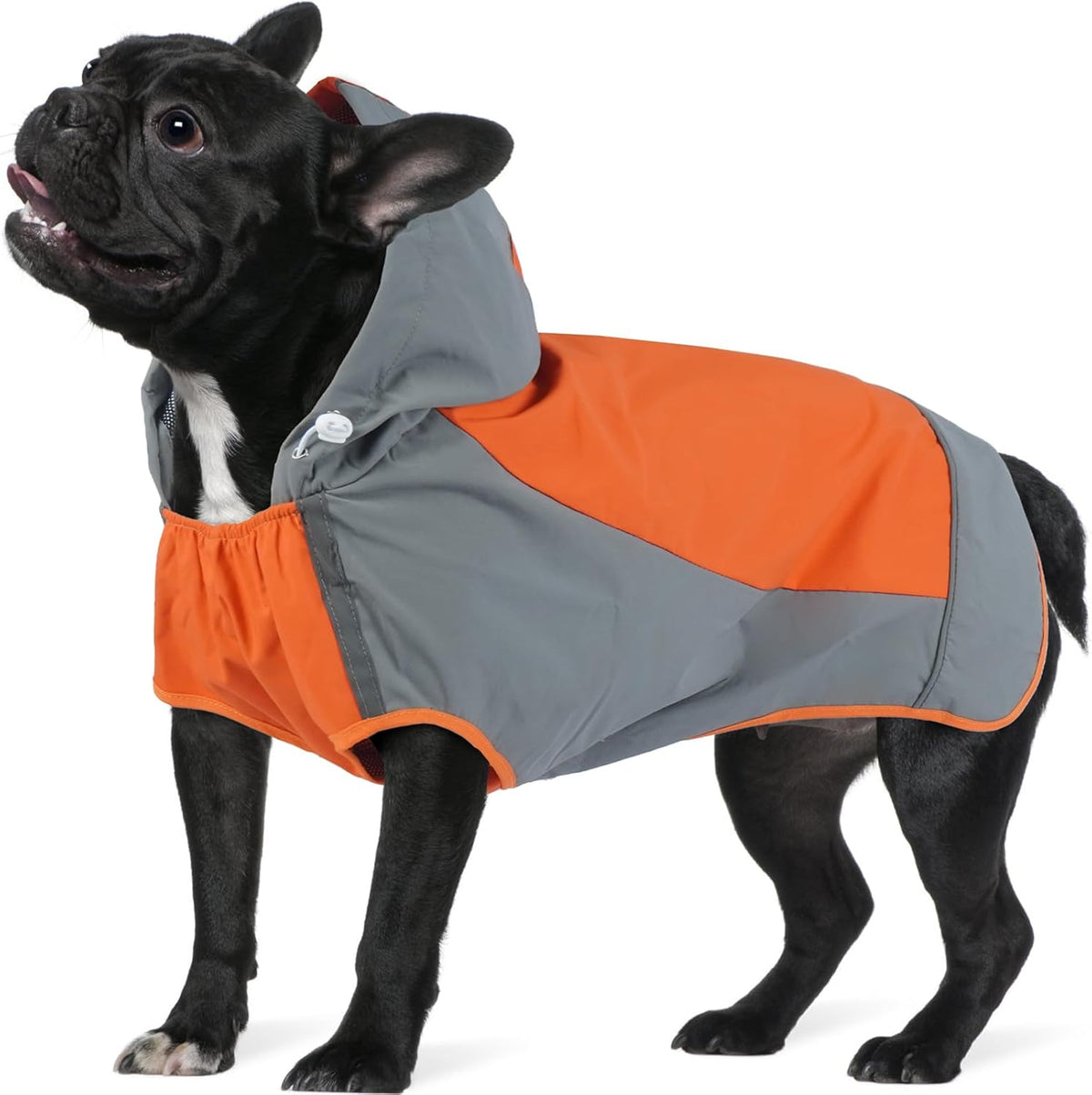 Hooded Dog Raincoat, Reflective Large Dog Rain Poncho - Medium / Orange