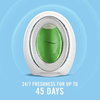 Febreze Small Spaces Air Freshener Limited Edition Scents (Winter Spruce, 2 Pack)