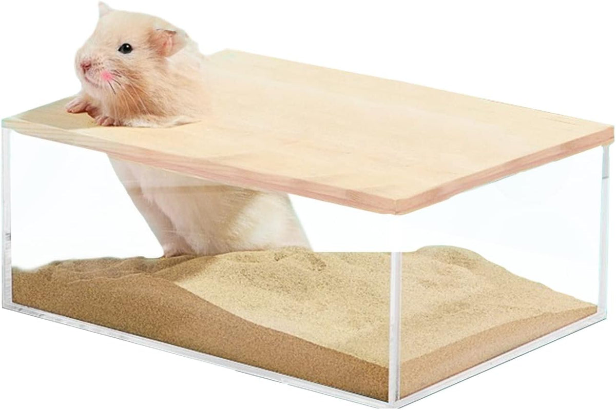 kathson Hamster Sand Bath Box Transparent Acrylic Small Animals - Large - Rectangle