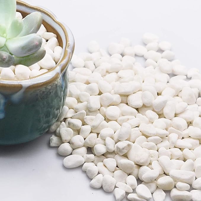 TOYPOPOR Mini White Rocks Stone Decorative Pebbles Vase Fillers Succulents Cactus Bonsai DIY Plant Rock Garden Outdoor Indoor Gravel for Aquarium, Terrarium, Fairy Gardening, Top Dressing 6lbs