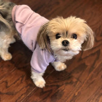 Soft Dog Hoodies for Small Dogs - Purple / XX-Small - image 2