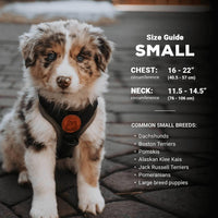 Wilderdog Lightweight Dog Harness with Reflective Straps - Huckleberry / Small - image 3