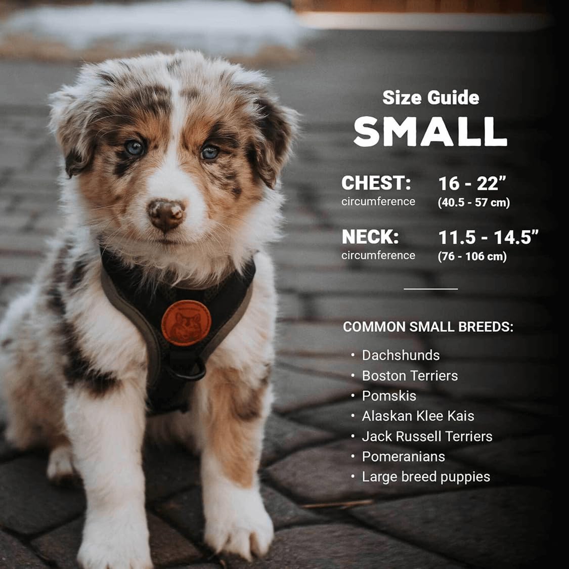 Wilderdog Lightweight Dog Harness with Reflective Straps - Huckleberry / Small - image 3