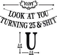 Black Glitter Look at You Turning 25 & Sh*t Banner - 25 - image 2