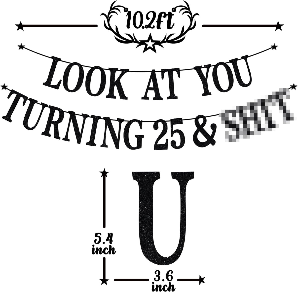 Black Glitter Look at You Turning 25 & Sh*t Banner - 25 - image 2