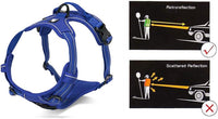 Truelove No Pull Dog Harness with Easy Control Handle and 2 Leash - Small / Royal Blue - image 2