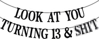 Black Glitter Look at You Turning 25 & Sh*t Banner - 13