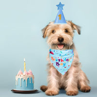 Dog Birthday Party Supplies – Premium Bandana & Hat Set for Dogs - BIG FRENCHIES