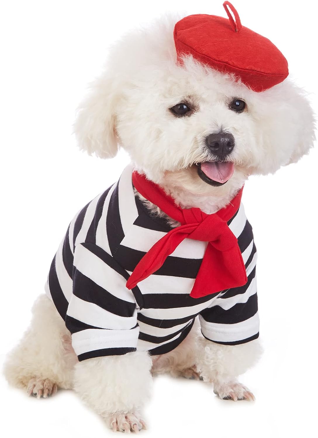 Artist Dog Costume with Funny Hat Painter Pet Clothes for Small Dog - X-Small (2-4lb) / Black - image 2