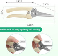 Premium garden shears, meperez pruning scissors gardening tools, pruners for flower, bushes, rose and fruit tree, use for florist, yard and orchard the plant clippers, sharp white steel anvil snips, 2