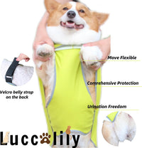 Dog Rain Jacket with Hood for Small Pet - Light Green / X-Small - image 4