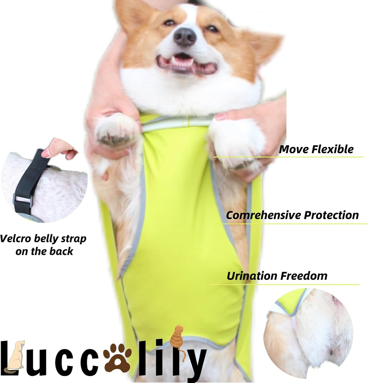 Dog Rain Jacket with Hood for Small Pet - Light Green / X-Small - image 4