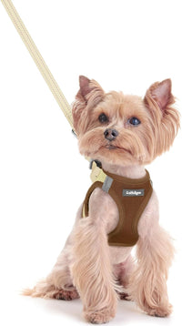 rabbitgoo Dog Harness Small Sized and Leash Set - Brown & Beige / Xxs (chest: 12.4 - 14.2")