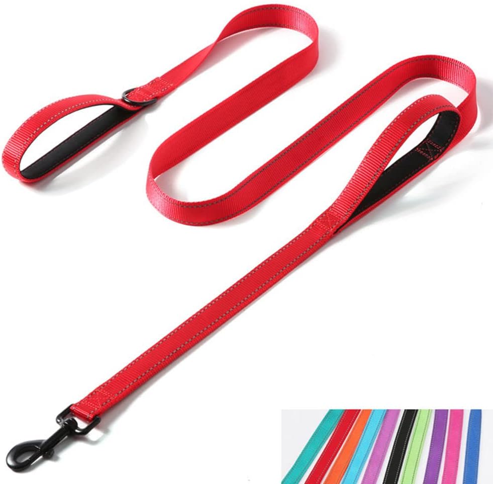 Reflective Nylon Dog Leash Heavy Duty - Red / 5ft * 1"
