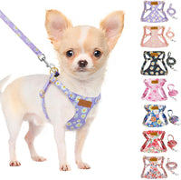 SlowTon No Pull Dog Harness with Leash for Small Medium Dogs - XX-Small(2.2-6lb) / Purple Daisy