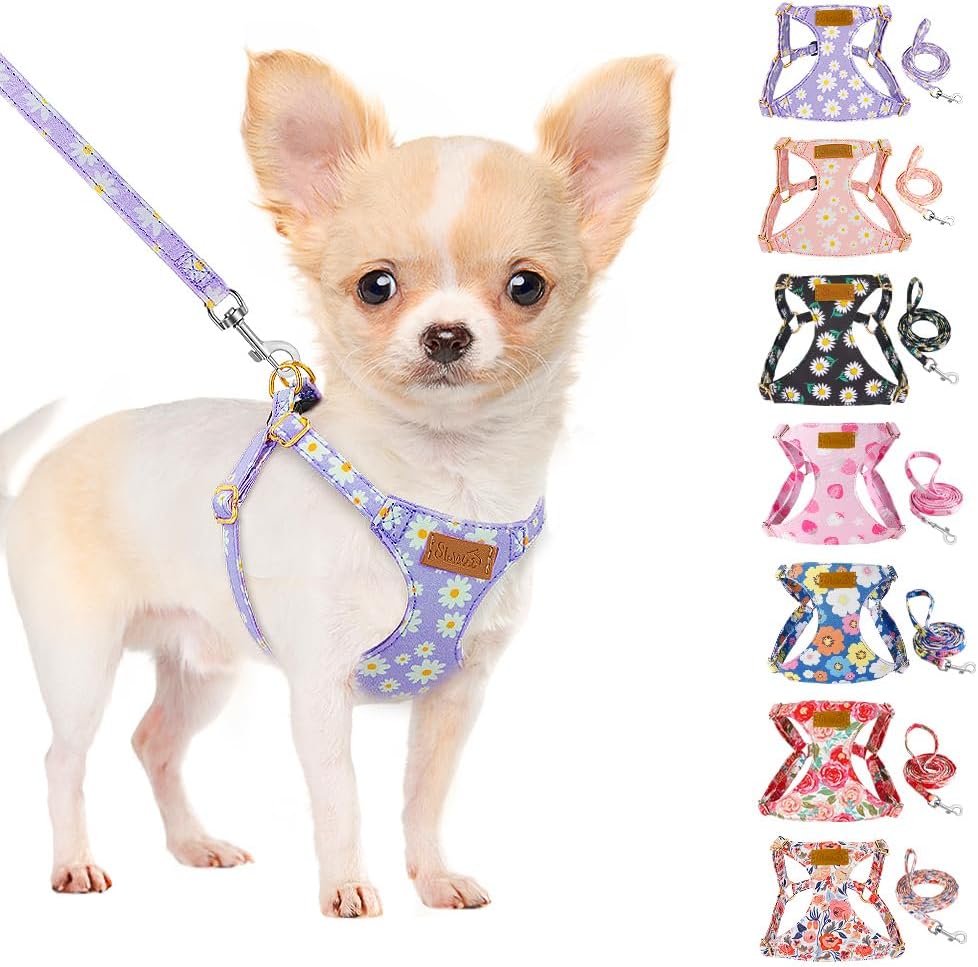 SlowTon No Pull Dog Harness with Leash for Small Medium Dogs - XX-Small(2.2-6lb) / Purple Daisy