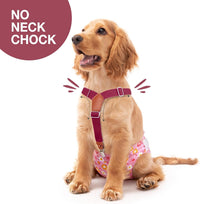 Pet Soft Dog Suspenders 2 Pieces Female Dog Diaper Suspenders - Brown & Burgundy / Medium/Large - image 2