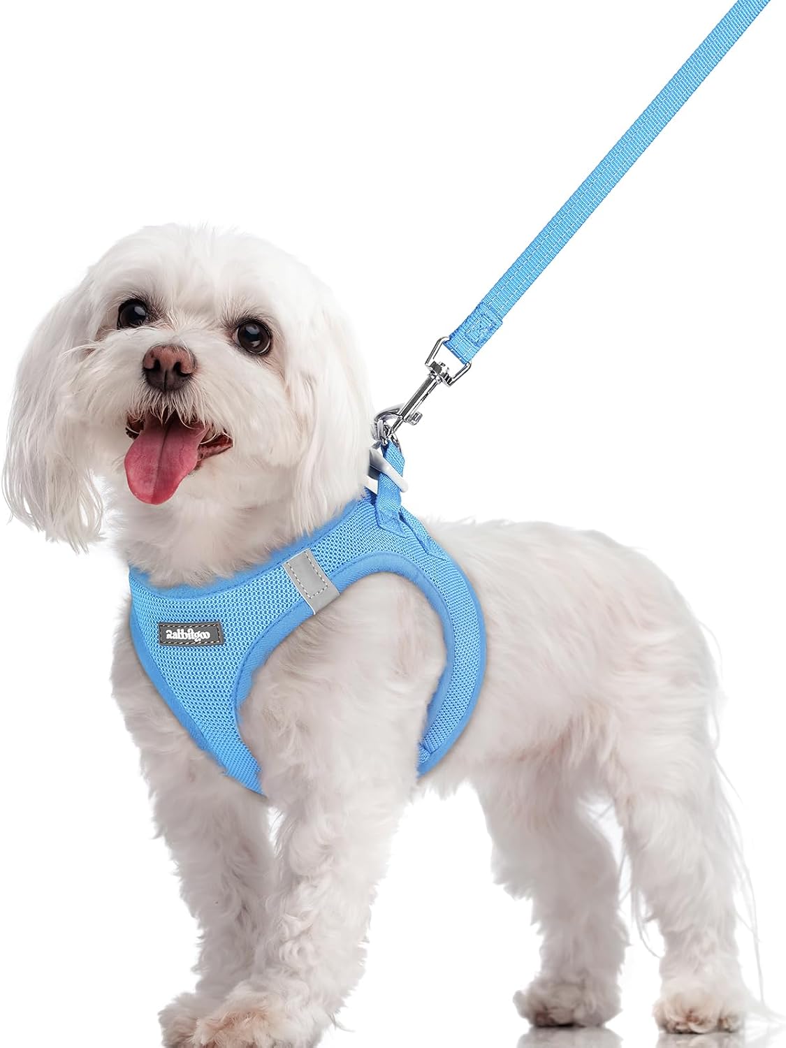 rabbitgoo Dog Harness Small Sized and Leash Set - Blue / M (chest: 16 - 18.5")