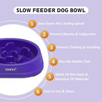 YINEYA Slow Feeder Dog Bowl for Medium Dogs - Small / I - Purple - image 2