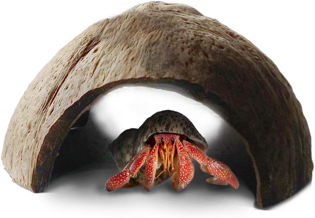 SunGrow Hermit Crab Coconut Cave